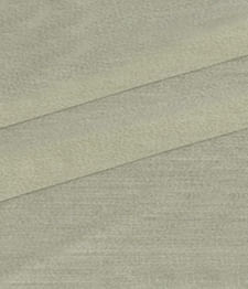 IMAGE_T