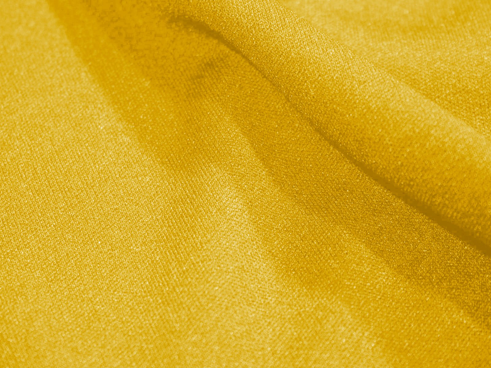 IMAGE_L
