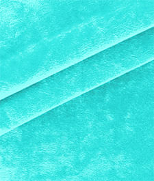 IMAGE_T
