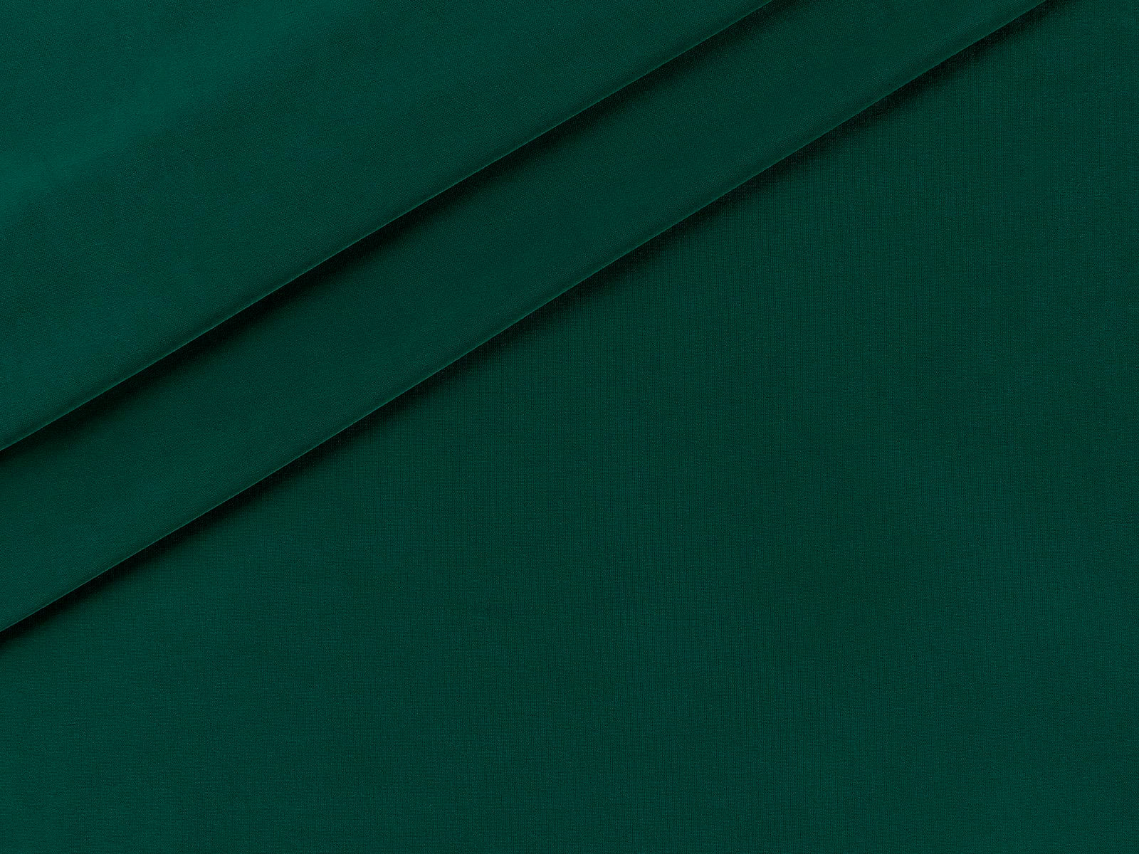 IMAGE_L