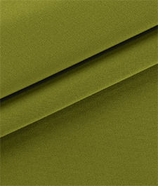 IMAGE_T