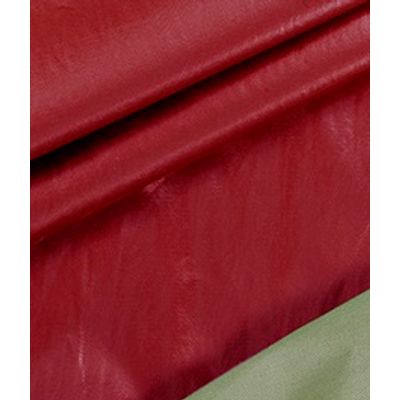 IMAGE_T