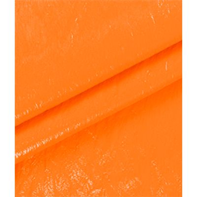IMAGE_T