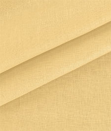 IMAGE_T