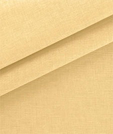 IMAGE_T
