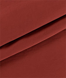 IMAGE_T