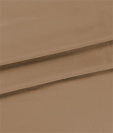 IMAGE_T