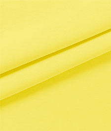 IMAGE_T