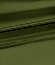 IMAGE_T