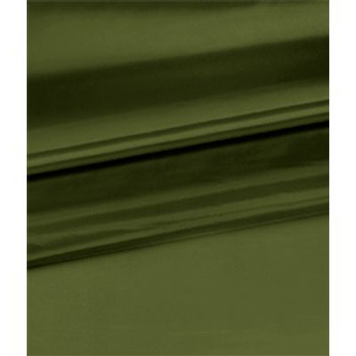 IMAGE_T