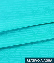 IMAGE_T