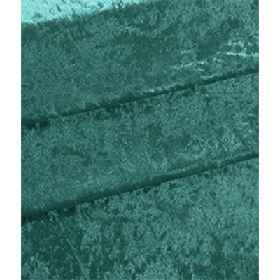 IMAGE_T