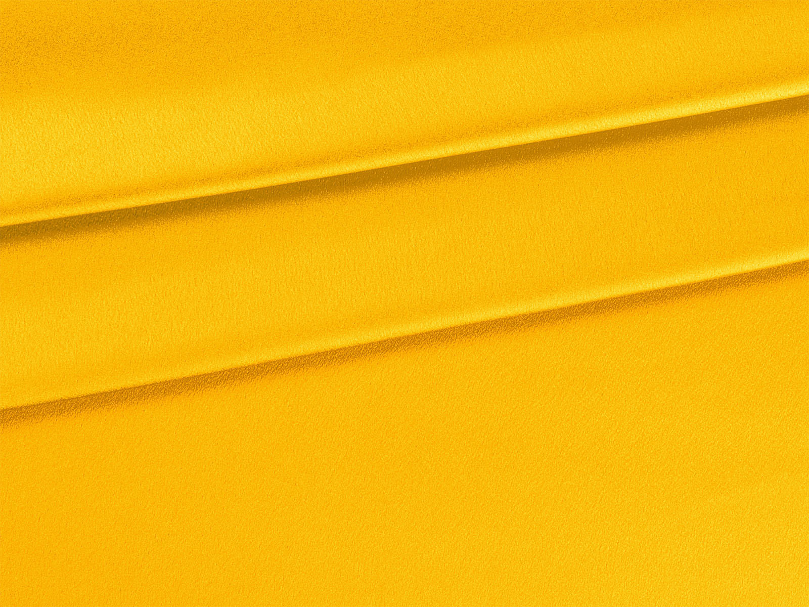 IMAGE_L