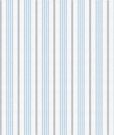 IMAGE_T