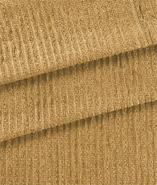 IMAGE_T