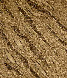 IMAGE_T