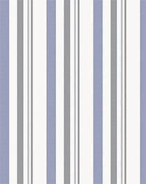 IMAGE_T