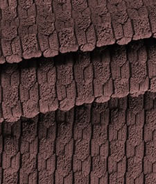 IMAGE_T