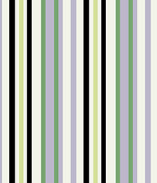 IMAGE_T