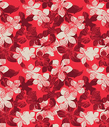 IMAGE_T