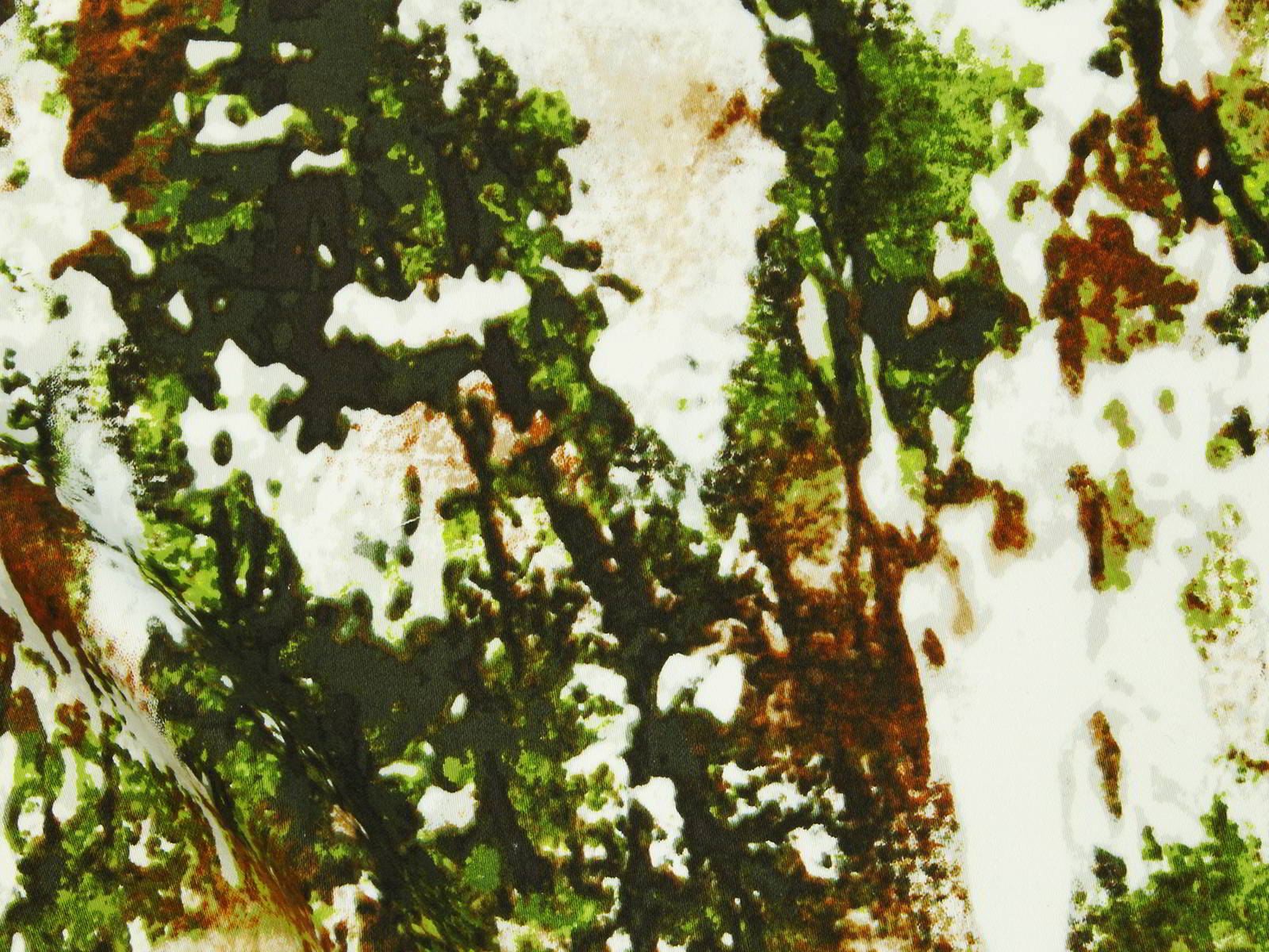 IMAGE_L