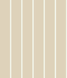 IMAGE_T