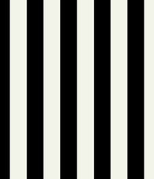 IMAGE_T