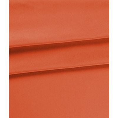 IMAGE_T