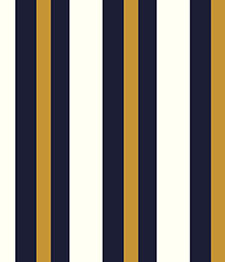IMAGE_T