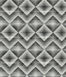 IMAGE_T