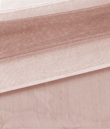 IMAGE_T