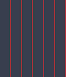 IMAGE_T