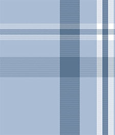 IMAGE_T