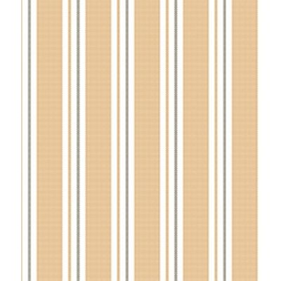 IMAGE_T