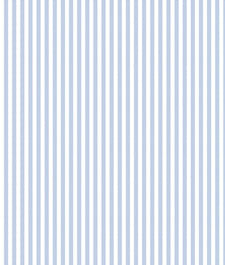 IMAGE_T