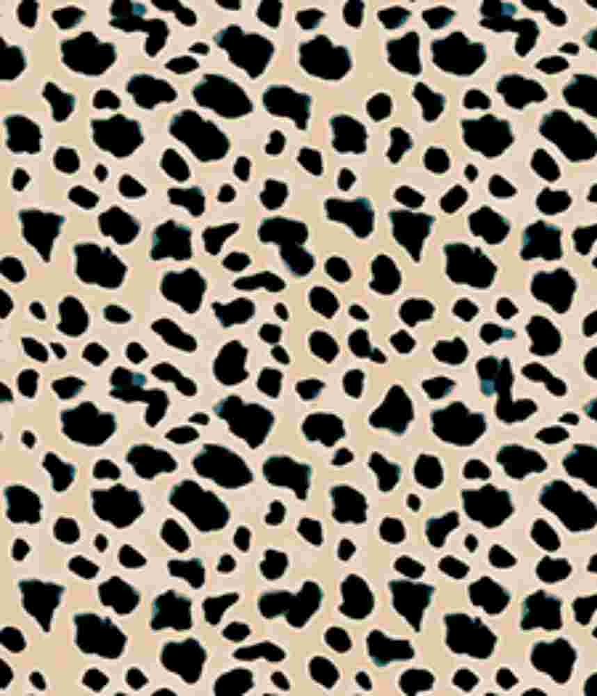 IMAGE_T