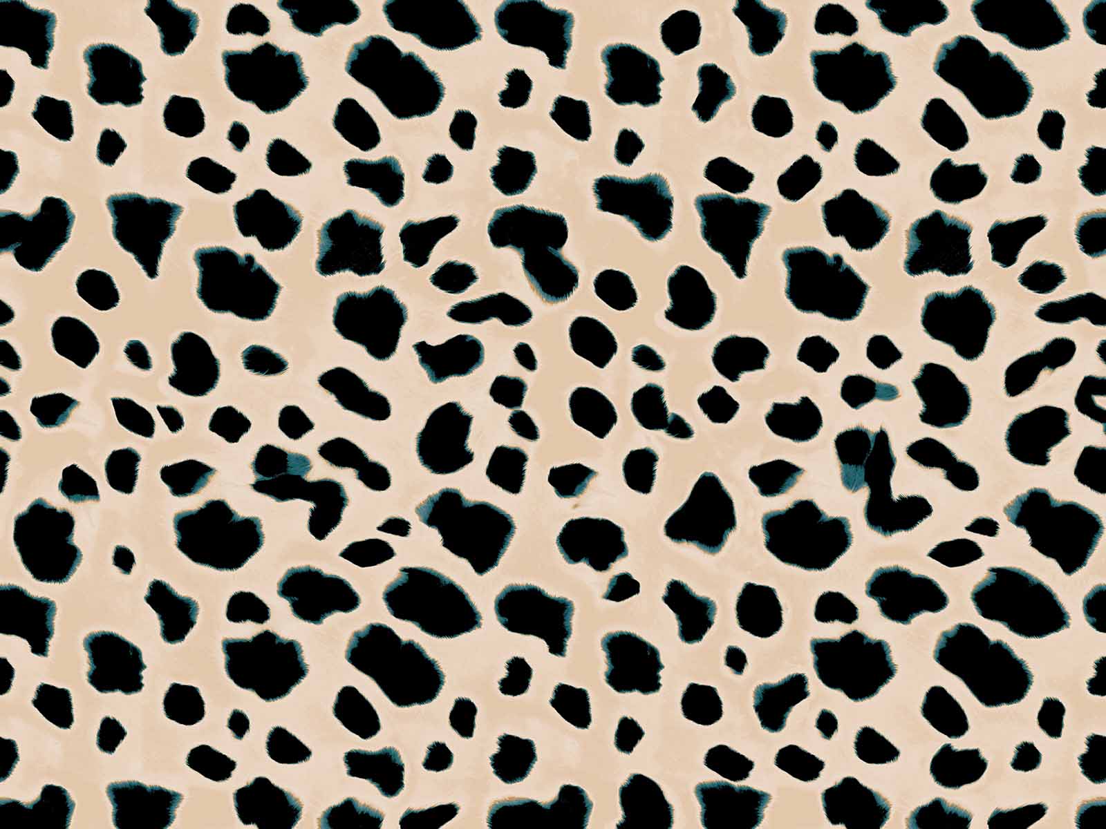 IMAGE_L