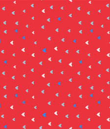 IMAGE_T
