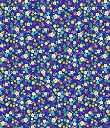 IMAGE_T
