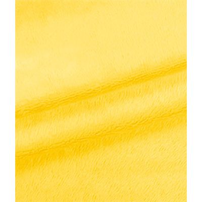 IMAGE_T
