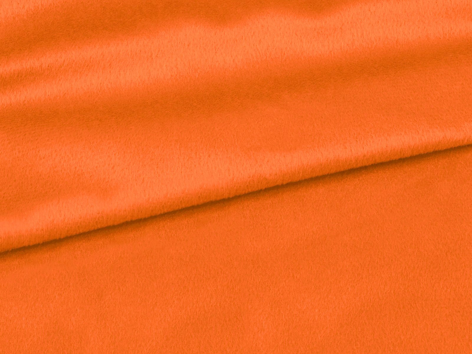 IMAGE_L