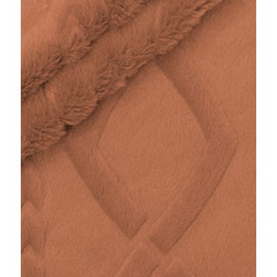 IMAGE_T
