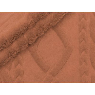 IMAGE_L