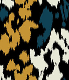 IMAGE_T