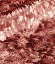 IMAGE_T