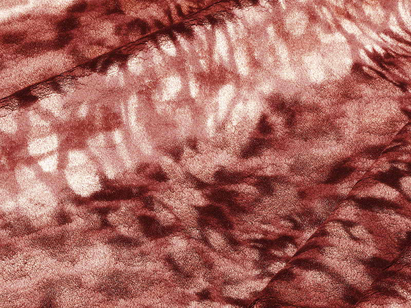 IMAGE_L