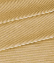 IMAGE_T