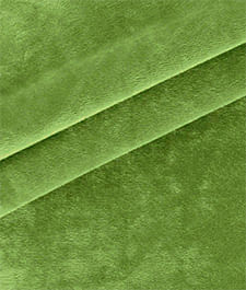 IMAGE_T IMAGE_T