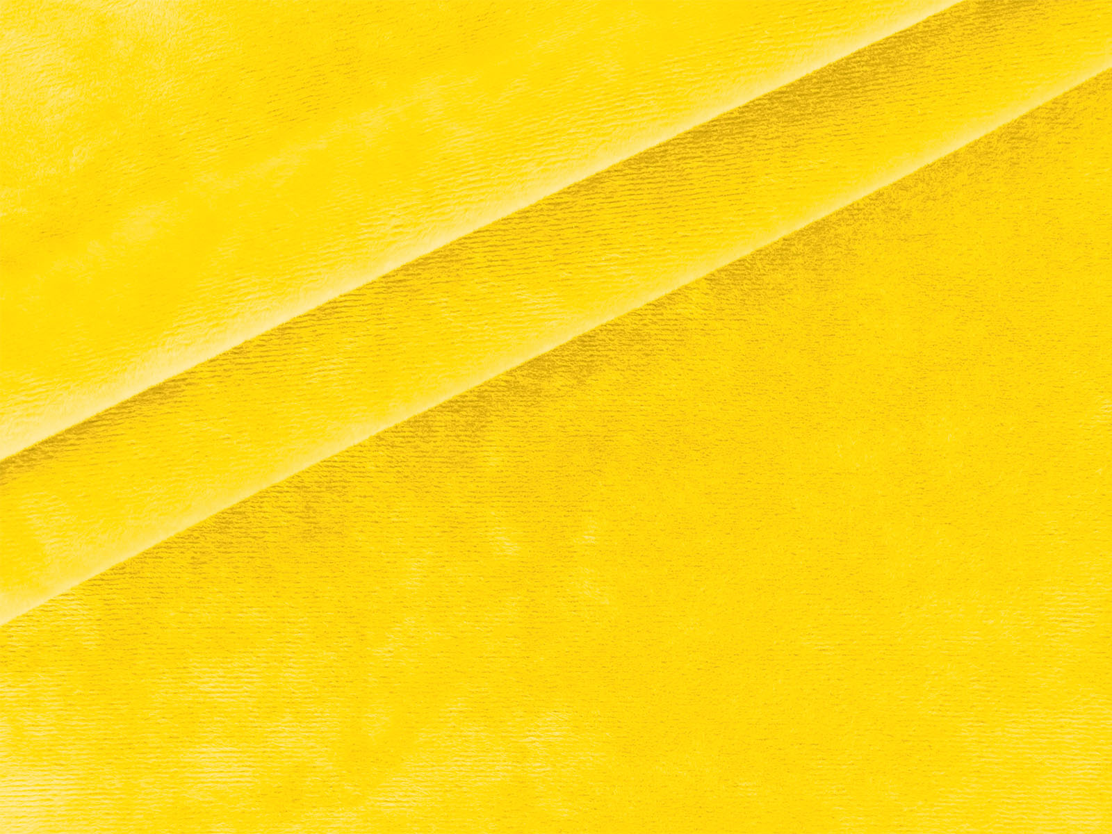 IMAGE_L IMAGE_L