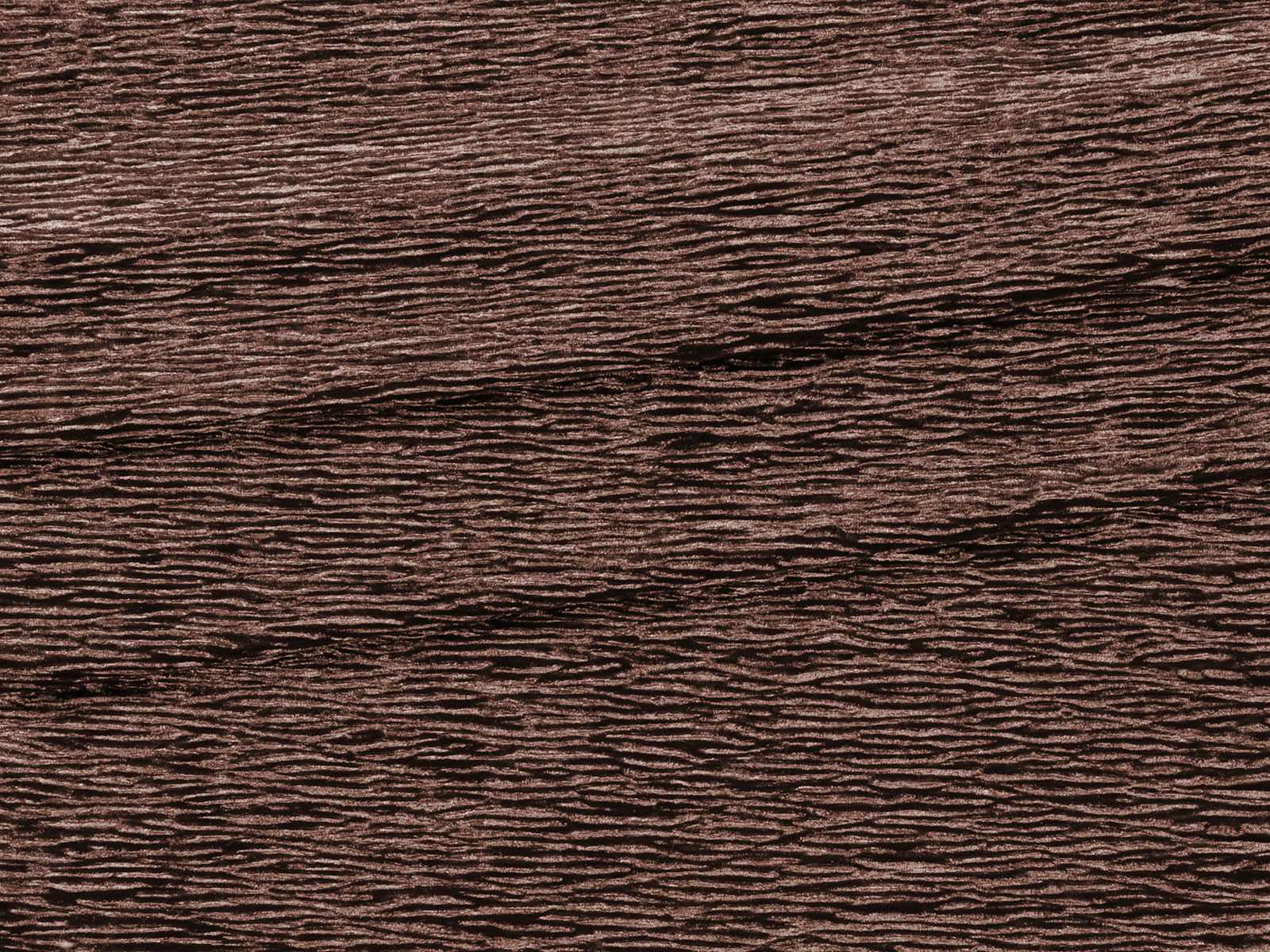 IMAGE_L
